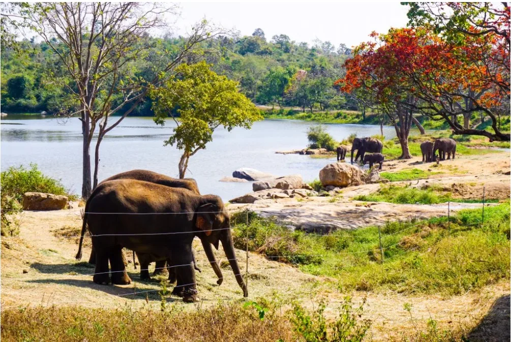 weekend getaways from Bangalore , Bannerghatta Bio Park.