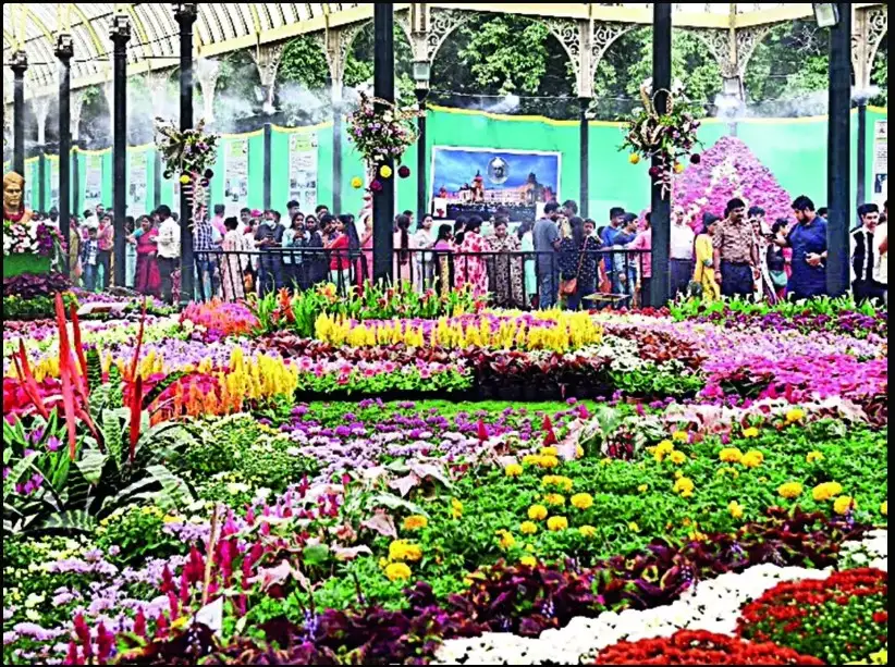 family outing in Bangalore