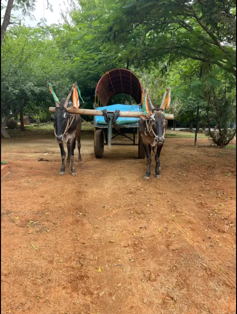 team outings in Bangalore