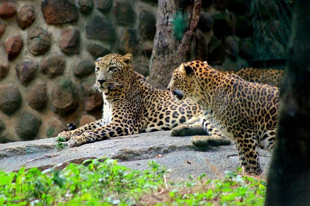 Family Outing in Bangalore